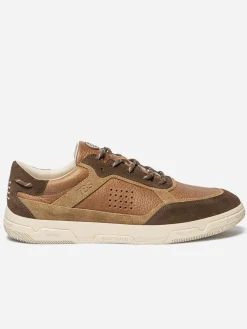 Tennis Homme Textile Camaieu Marron GUYLHEM