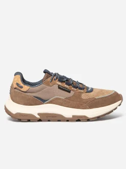 Tennis Marron JONASSE